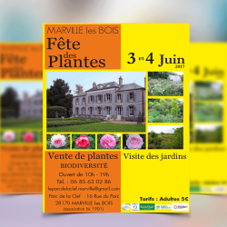 Affiches pour la fête de plantes